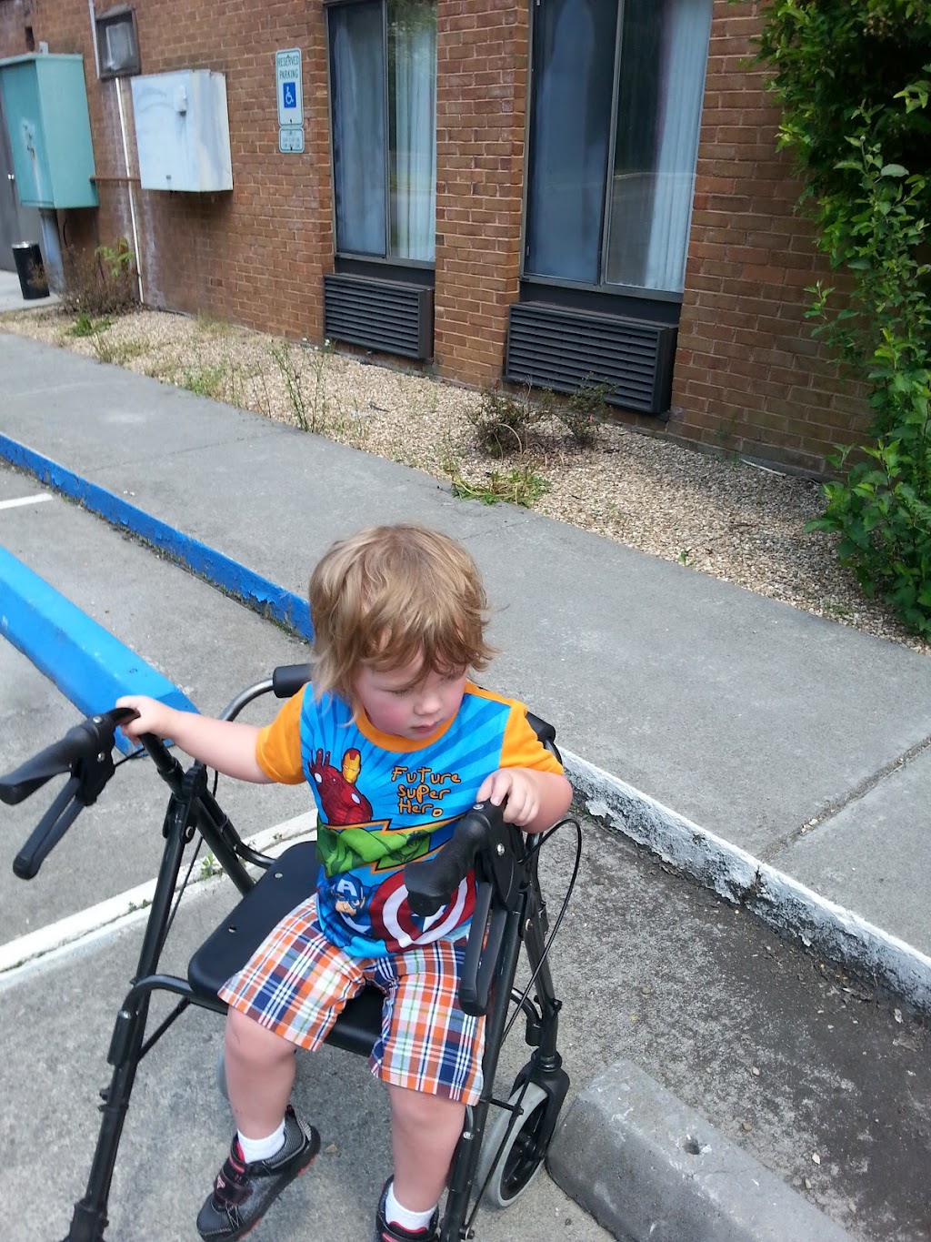 Hot Dog House | restaurant | 115 N Maple Ave, Covington, VA 24426, USA | 5409624042 OR +1 540-962-4042