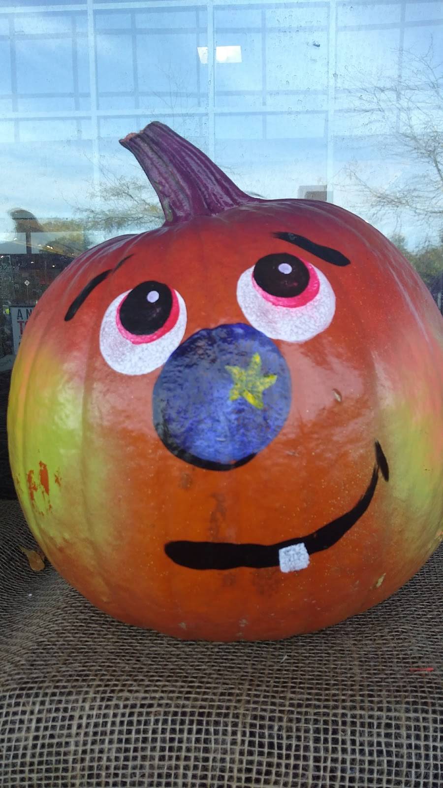 Copps Hill Plaza | shopping mall | 125 Danbury Rd, Ridgefield, CT 06877, USA | 2036355560 OR +1 203-635-5560