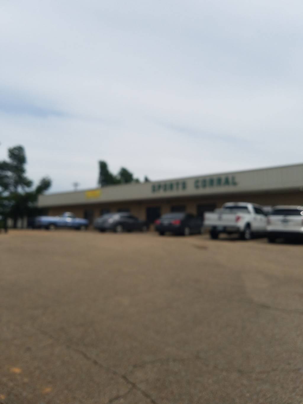 Moores Snacks And Sno-cones | restaurant | Holly Springs, MS 38635, USA | 6623471099 OR +1 662-347-1099