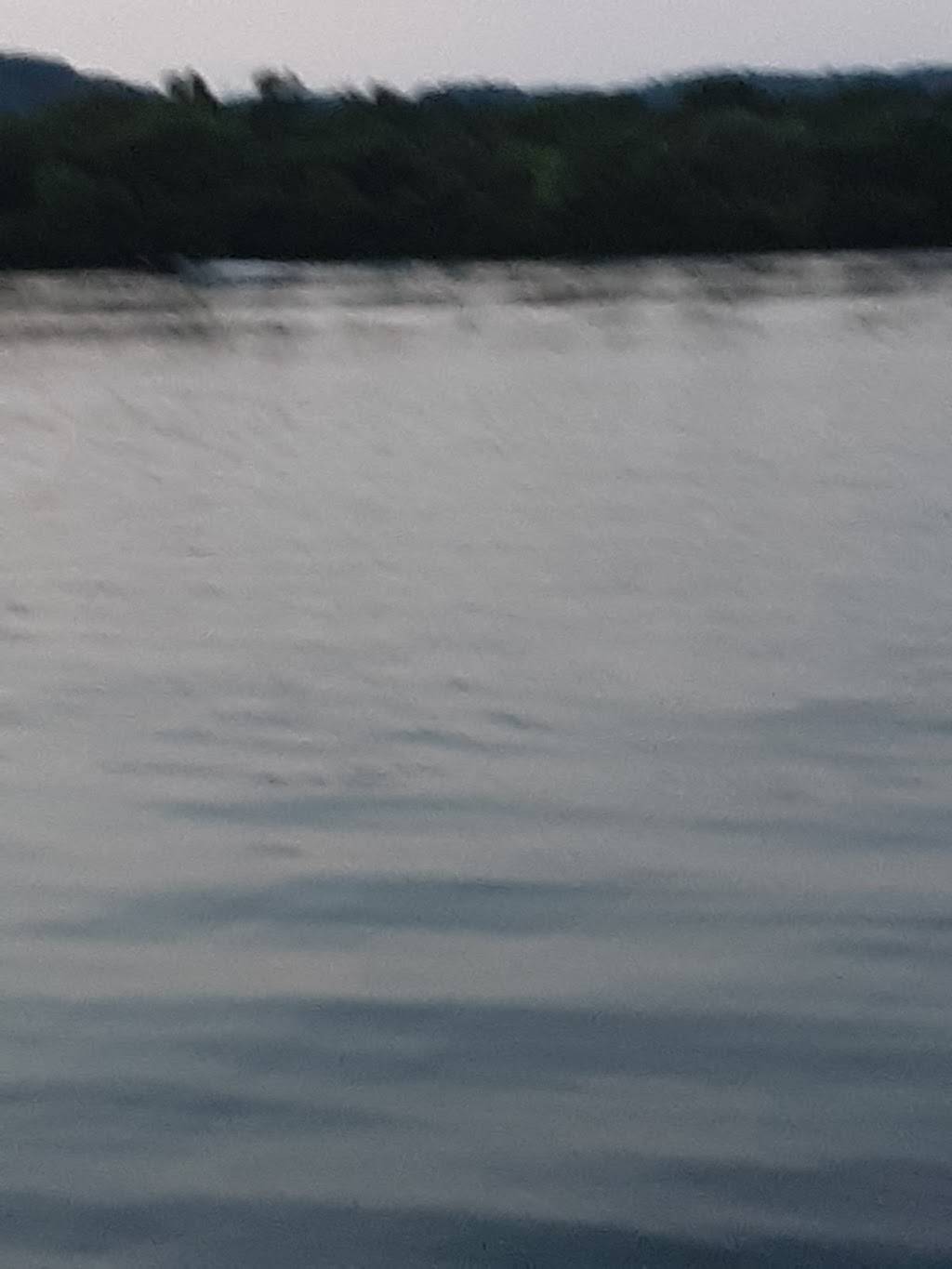 Cottonport Marina Restaurant | restaurant | Decatur, TN 37322, USA | 4234544110 OR +1 423-454-4110