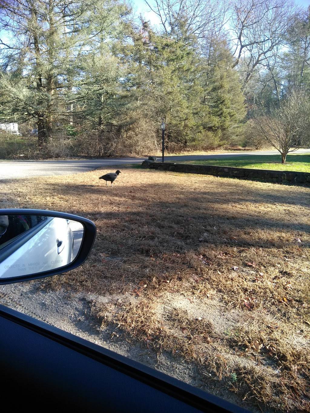 Rippys Liquor & Marketplace | meal takeaway | 4158 S County Trail, Charlestown, RI 02813, USA | 4013646711 OR +1 401-364-6711