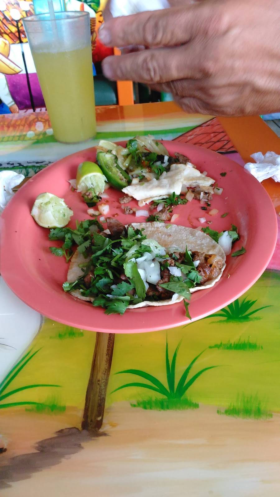 Fajitas Mexican Restaurant | restaurant | 1207 3rd Ave S, Myrtle Beach, SC 29577, USA | 8436260749 OR +1 843-626-0749