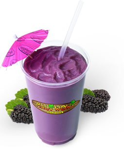 Maui Wowi Hawaiian | cafe | 500 W Canyon Ridge Dr, Austin, TX 78753, USA | 5128337757 OR +1 512-833-7757