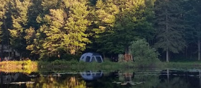 Maple Bear Campground LLC | restaurant | N 9350, Co Rd H, Tomahawk, WI 54487, USA | 7154535103 OR +1 715-453-5103