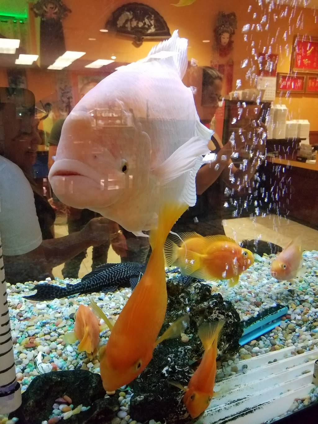 China Buffet | restaurant | 3800 W 18th Ave #100, Hialeah, FL 33012, USA | 3058198936 OR +1 305-819-8936