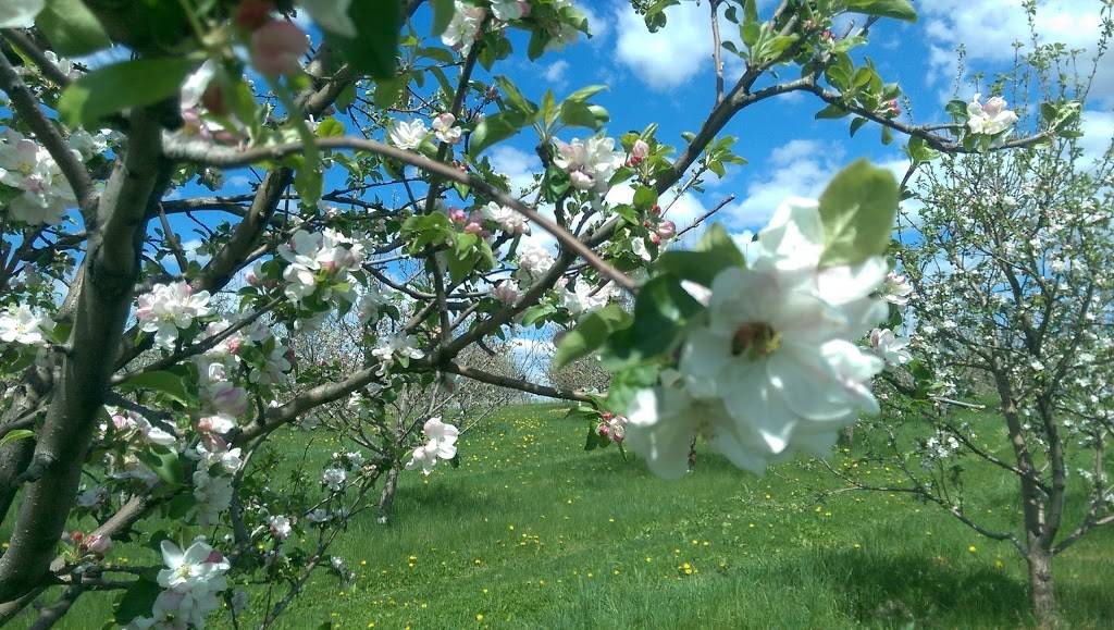 Nesbitts Nursery & Orchard | restaurant | N4380 WI-35, Prescott, WI 54021, USA | 7157922676 OR +1 715-792-2676