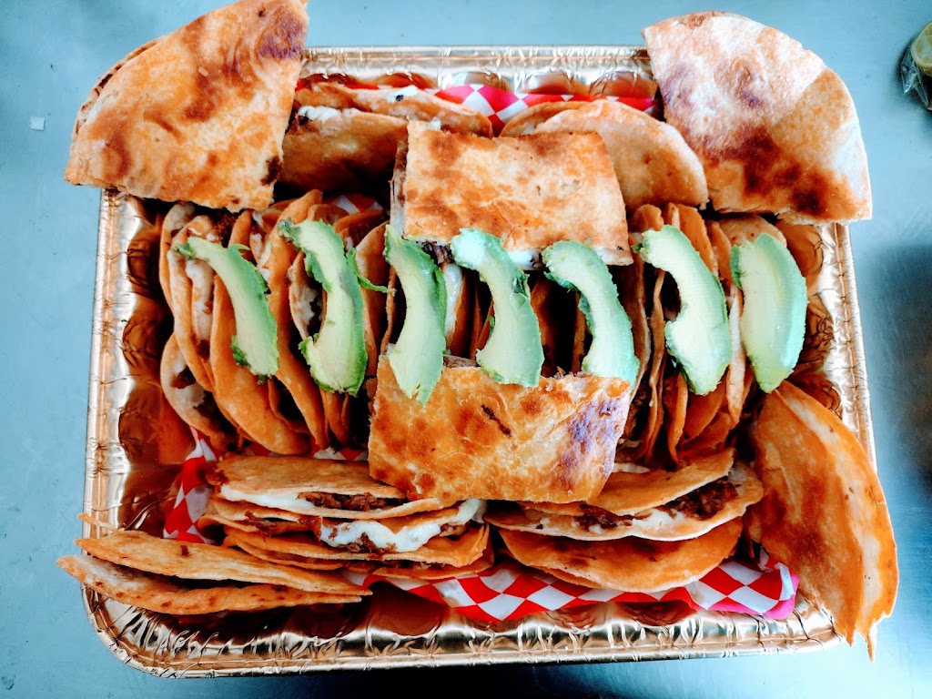 Birria el primaso | restaurant | 2901 Diamond ave, N La Homa Rd, Mission, TX 78574, USA | 9567771181 OR +1 956-777-1181