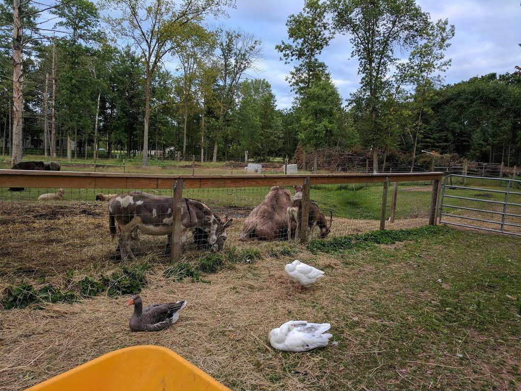 Torch Lite | restaurant | 1276 E Green Bay St, Shawano, WI 54166, USA | 7155265680 OR +1 715-526-5680