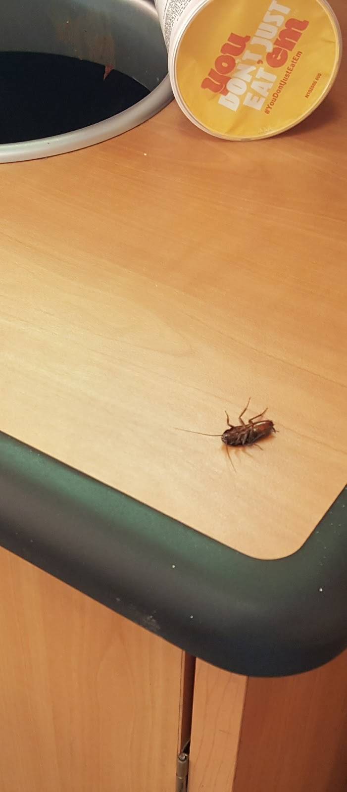 Subway Restaurants | restaurant | 6 Mountain Rd, Glen Burnie, MD 21060, USA | 4107664664 OR +1 410-766-4664