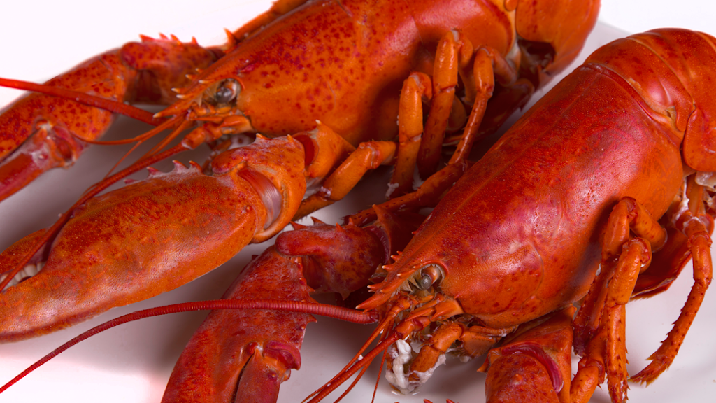 Green Tea Restaurant | restaurant | 751 Lynnway, Lynn, MA 01905, USA | 7815952100 OR +1 781-595-2100