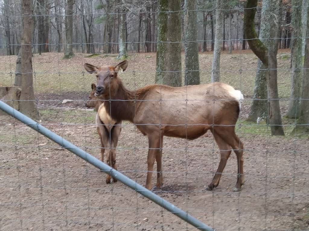 Bama Bucks | restaurant | 292 Bryant Rd, Sardis City, AL 35956, USA | 2562819234 OR +1 256-281-9234