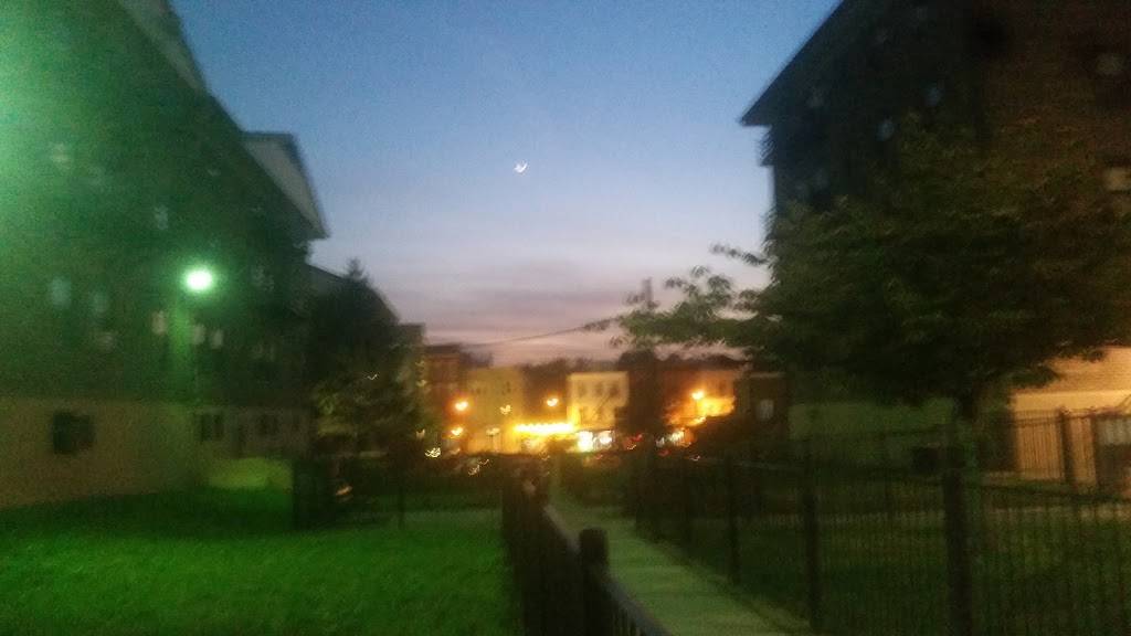 Happy Garden | restaurant | 527 Newark Ave, Jersey City, NJ 07306, USA | 2017927310 OR +1 201-792-7310