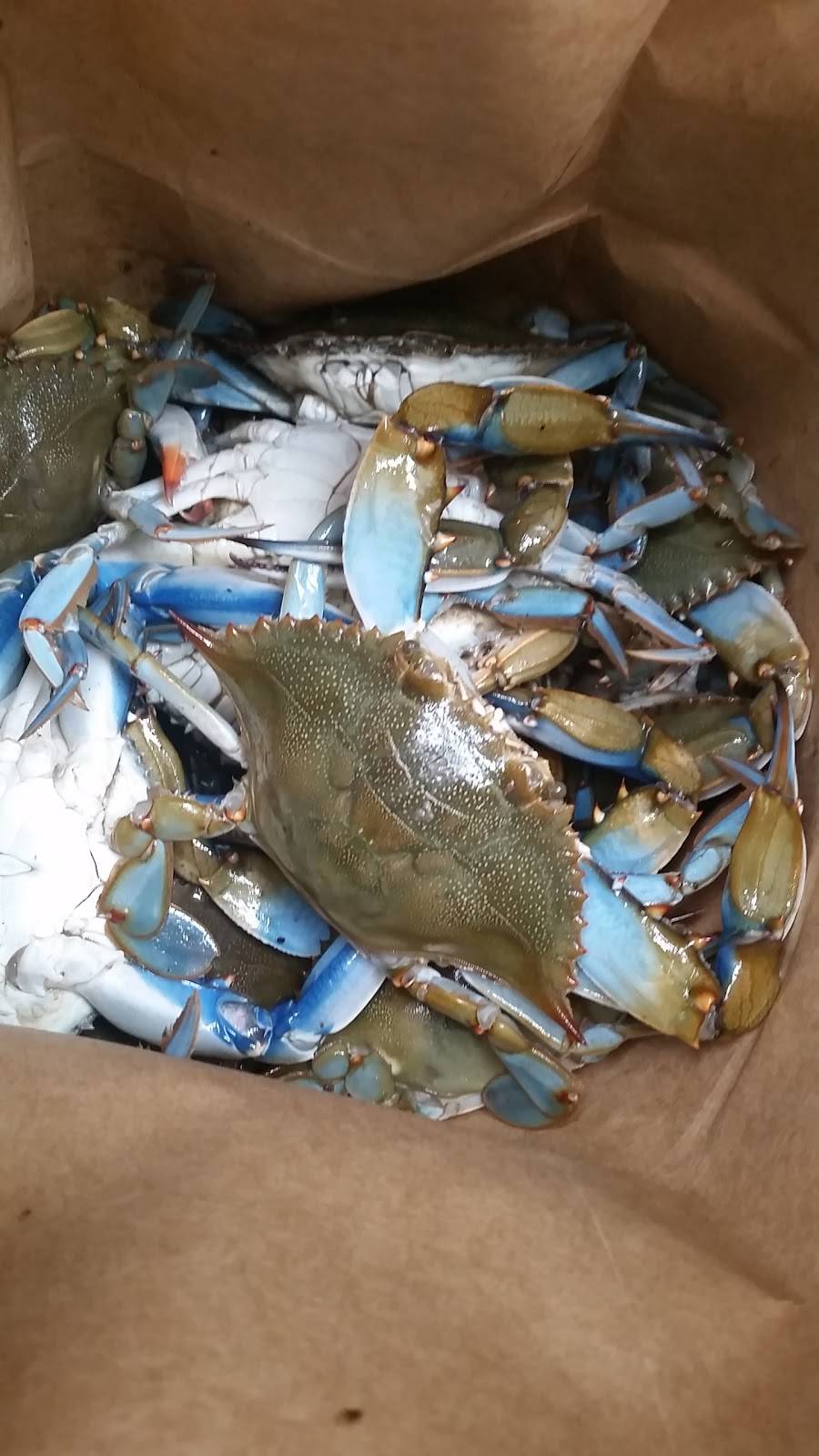 C J Seafood Express | restaurant | 1421 Ribaut Rd, Port Royal, SC 29935, USA | 8439860245 OR +1 843-986-0245