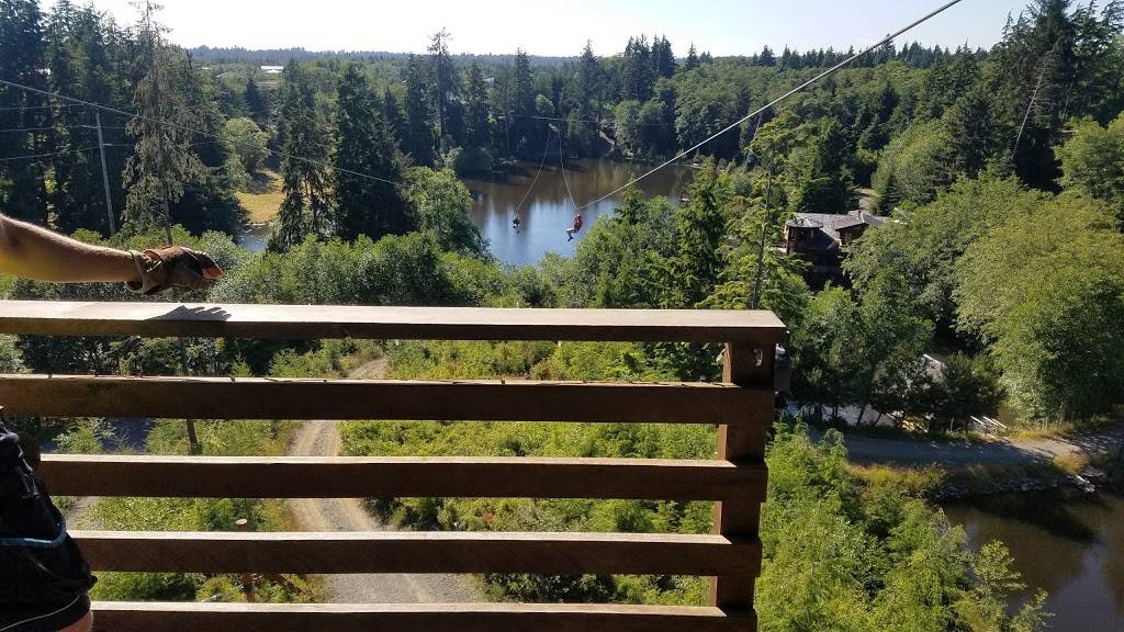 High Life Adventures Zip Line Tours | restaurant | 92111 High Life Road, Warrenton, OR 97146, USA | 5038619875 OR +1 503-861-9875