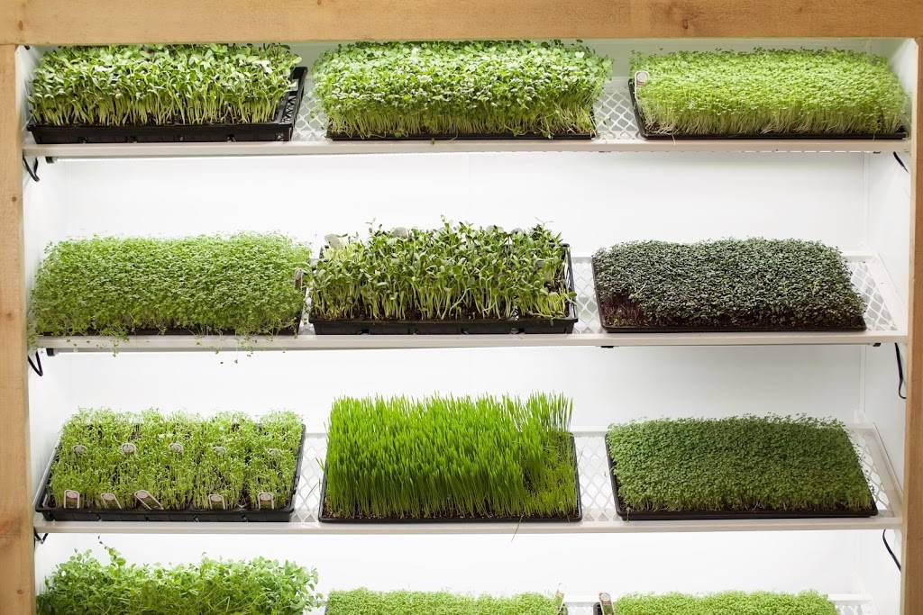 Bistro Pépito Sainte-Thérèse | restaurant | 75 Rue Turgeon, Sainte-Thérèse, QC J7E 3H4, Canada | 5796374420 OR +1 579-637-4420