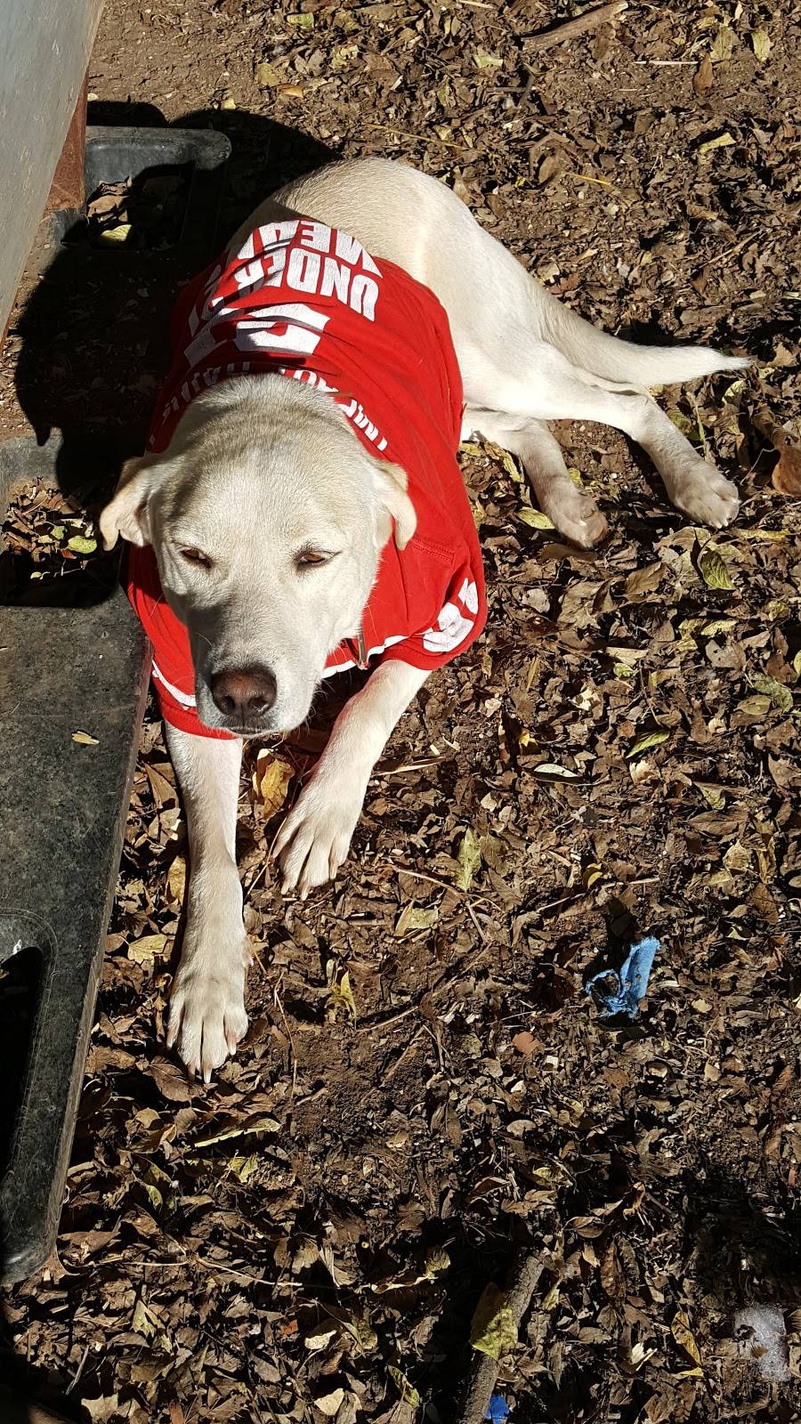 Subway | restaurant | 4001 N 19th St, Waco, TX 76708, USA | 2547545858 OR +1 254-754-5858