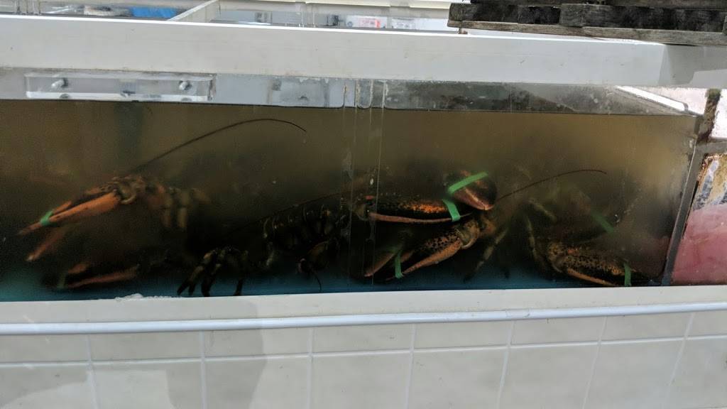 Capital Fish Markets Ltd. | restaurant | 160 Rue Adrien-Robert, Gatineau, QC J8Y 3S2, Canada | 8197781892 OR +1 819-778-1892