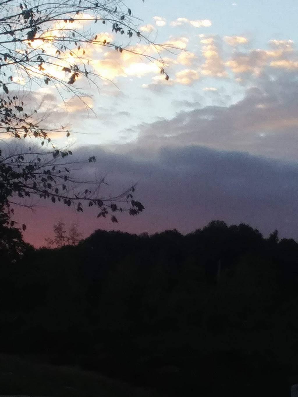 Donnas Diner | restaurant | 1001 Kingston St, Lenoir City, TN 37771, USA | 8658166035 OR +1 865-816-6035