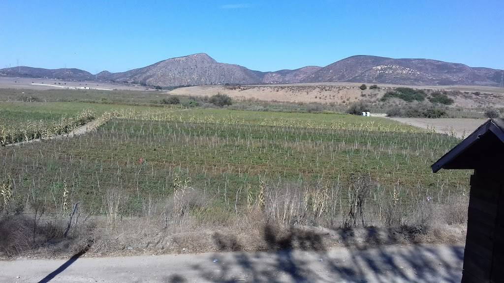 Cocos Santa Rosa | restaurant | Ensenada, Baja California, Mexico | 016611281650 OR +52 661 128 1650