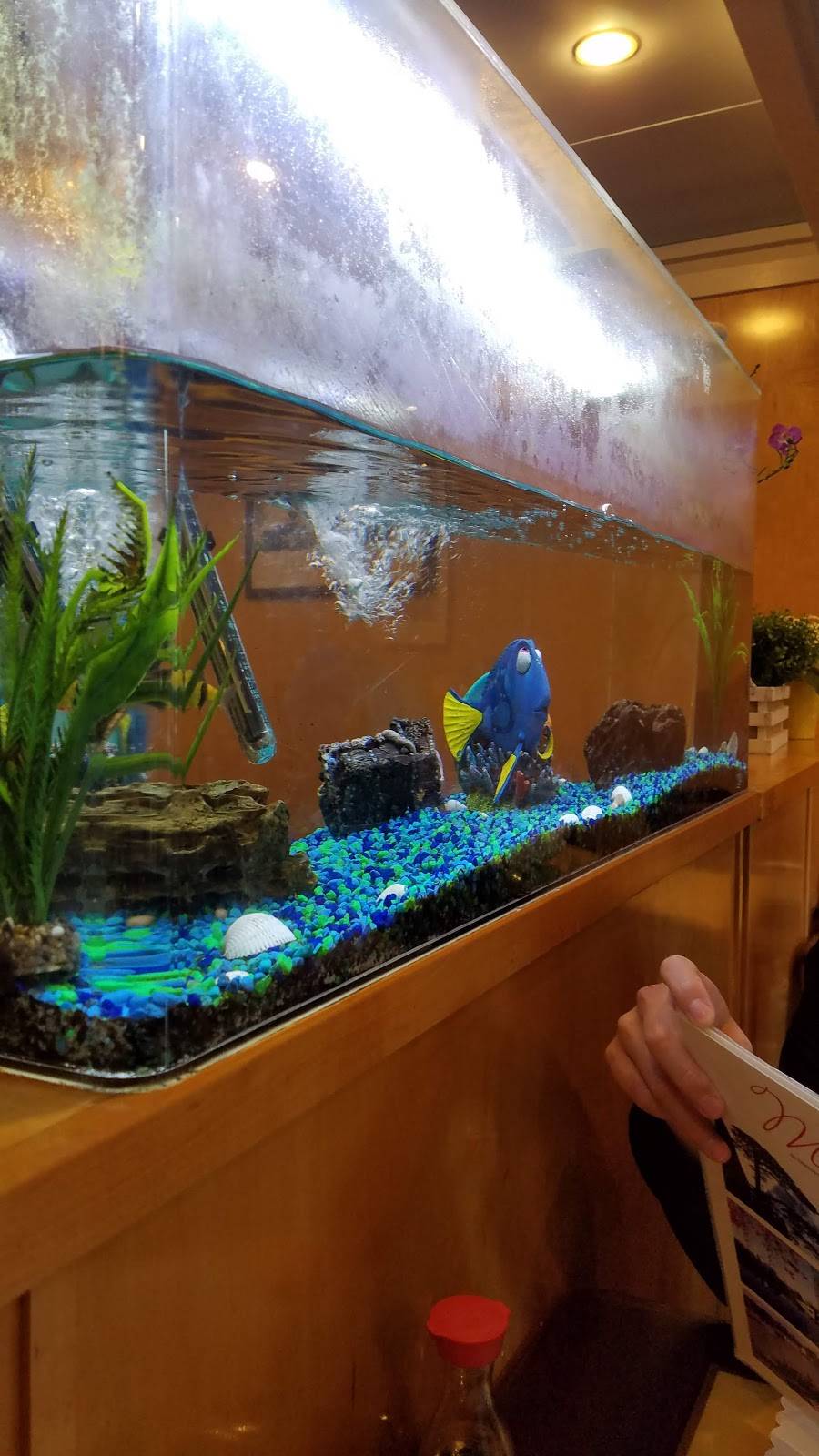 Mings Restaurant | restaurant | 1550 Tiburon Blvd, Belvedere Tiburon, CA 94920, USA | 4154354312 OR +1 415-435-4312