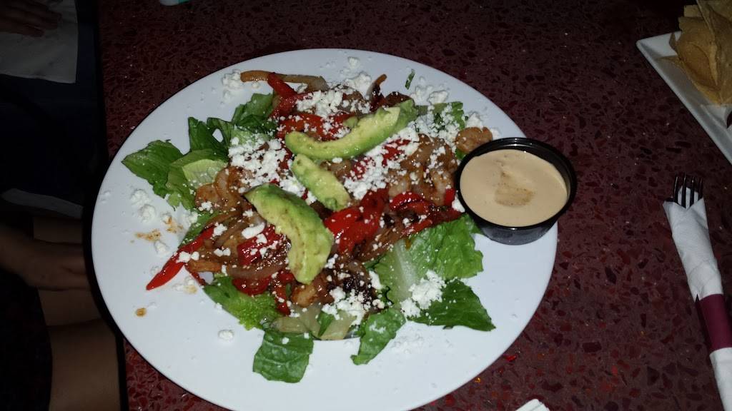 CITY DOG CANTINA | restaurant | 1208 E Kennedy Blvd #114, Tampa, FL 33602, USA | 8132802999 OR +1 813-280-2999