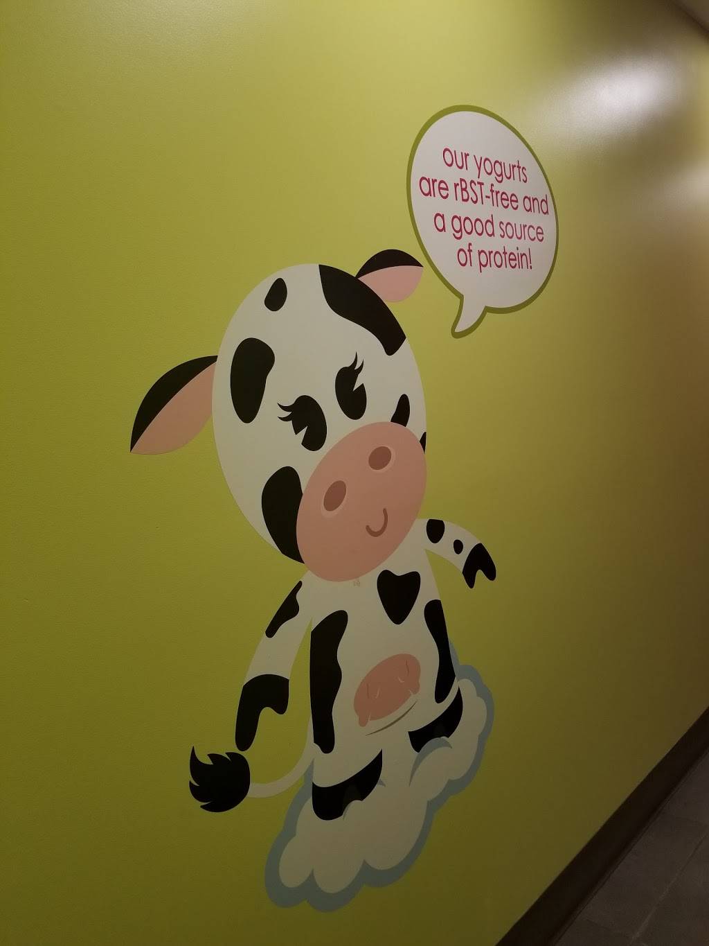 Menchies Frozen Yogurt | restaurant | 47 Hamilton St, Dobbs Ferry, NY 10522, USA | 9146931236 OR +1 914-693-1236