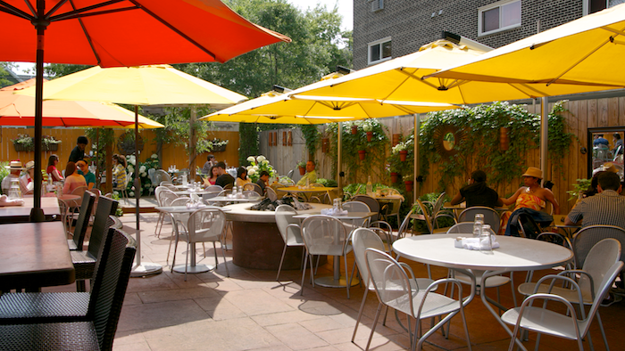 Maya Del Sol | restaurant | 144 S Oak Park Ave, Oak Park, IL 60302, USA | 7083589800 OR +1 708-358-9800