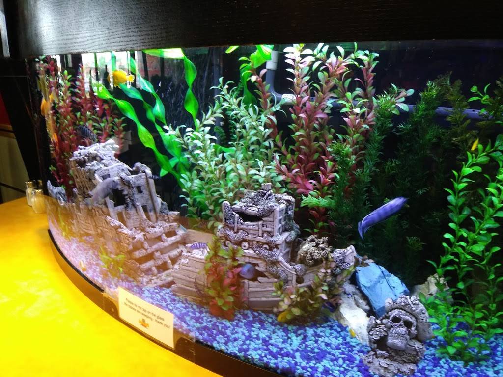 Garibaldis Italian Eatery | restaurant | 1960 N Arlington Heights Rd, Arlington Heights, IL 60004, USA | 8475774000 OR +1 847-577-4000