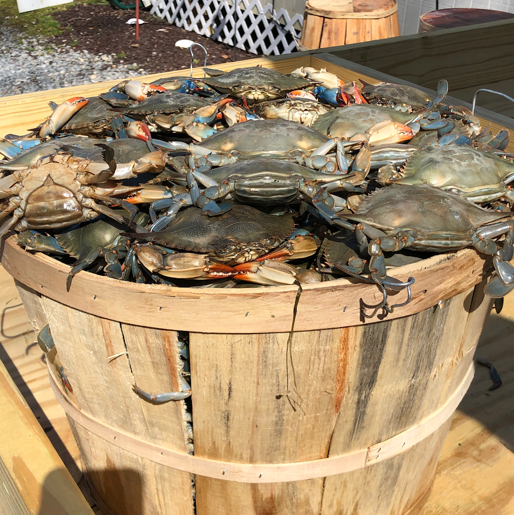 Dixie Joes Crab Shack | restaurant | 7940 Rebel Rd, Spotsylvania Courthouse, VA 22551, USA | 5405829748 OR +1 540-582-9748