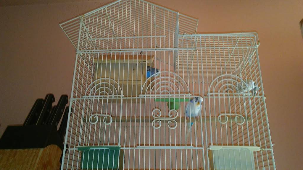 Aldama Tacos and DJ | restaurant | 1142 E 87th Pl, Los Angeles, CA 90002, USA | 3235288183 OR +1 323-528-8183