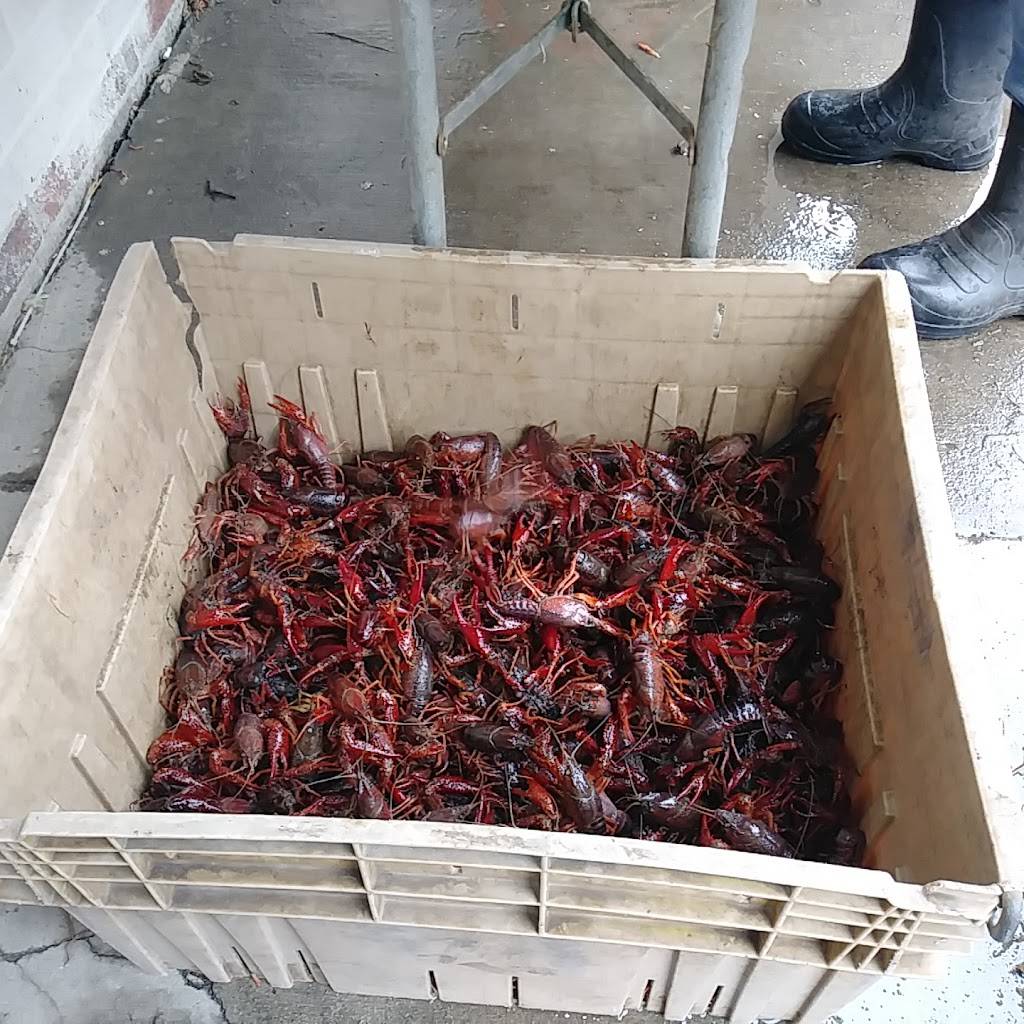 Louisiana Seafood Company | restaurant | 206 N 1st St, Nashville, TN 37213, USA | 6154996865 OR +1 615-499-6865