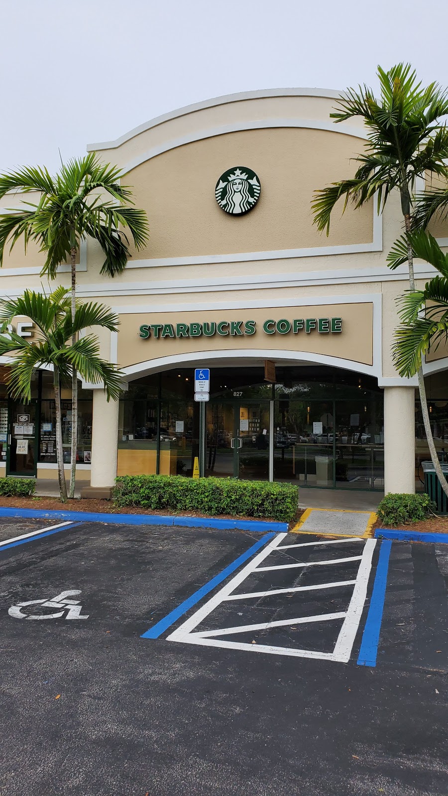 Starbucks | cafe | 827 N Nob Hill Rd, Plantation, FL 33324, USA | 9543820559 OR +1 954-382-0559