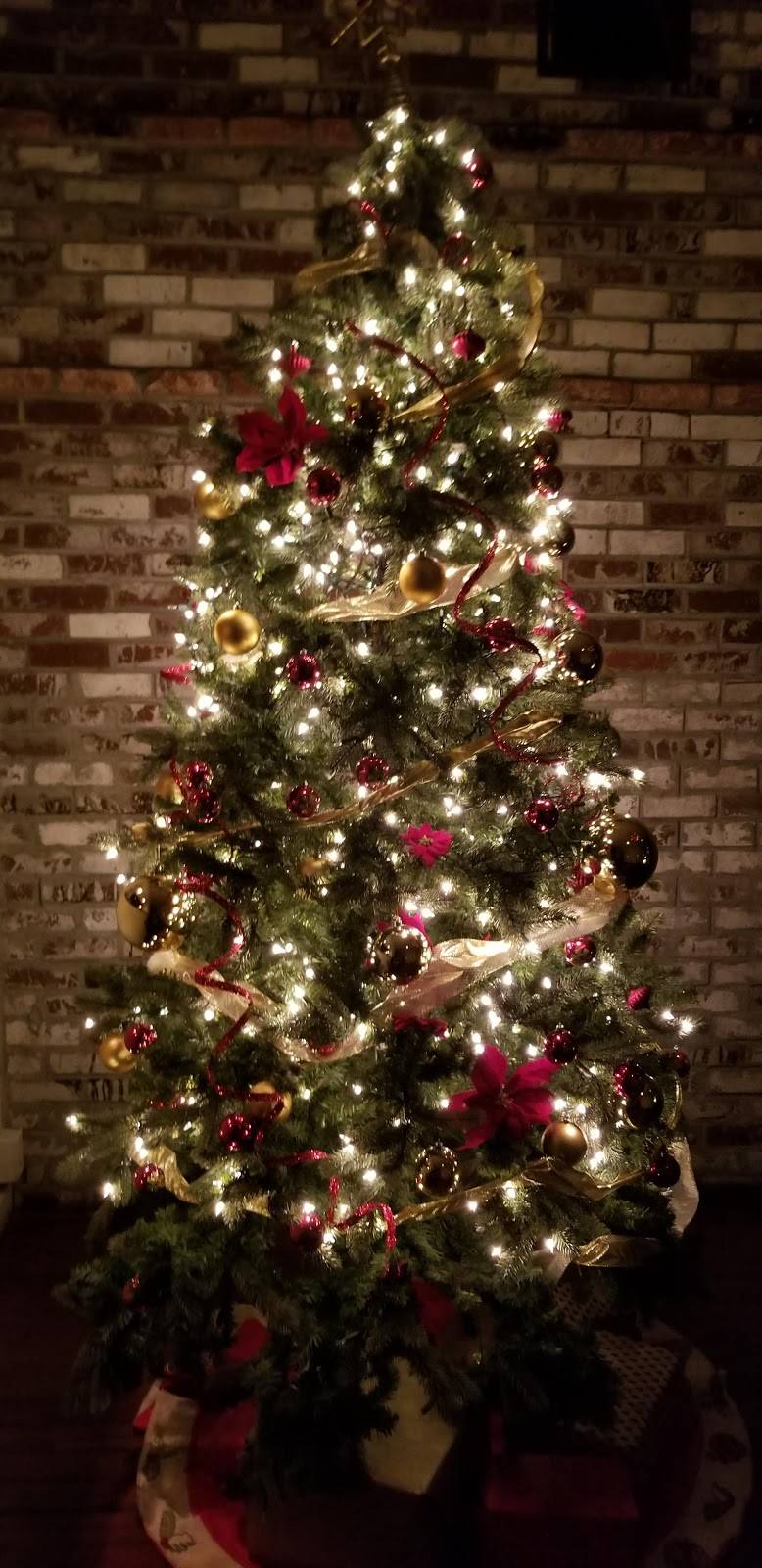 Lolinda | restaurant | 2518 Mission St, San Francisco, CA 94110, USA | 4155506970 OR +1 415-550-6970