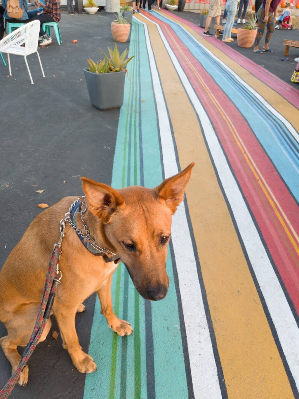 NIDOs Backyard | restaurant | 104 Oak St, Oakland, CA 94607, USA | 5105009757 OR +1 510-500-9757