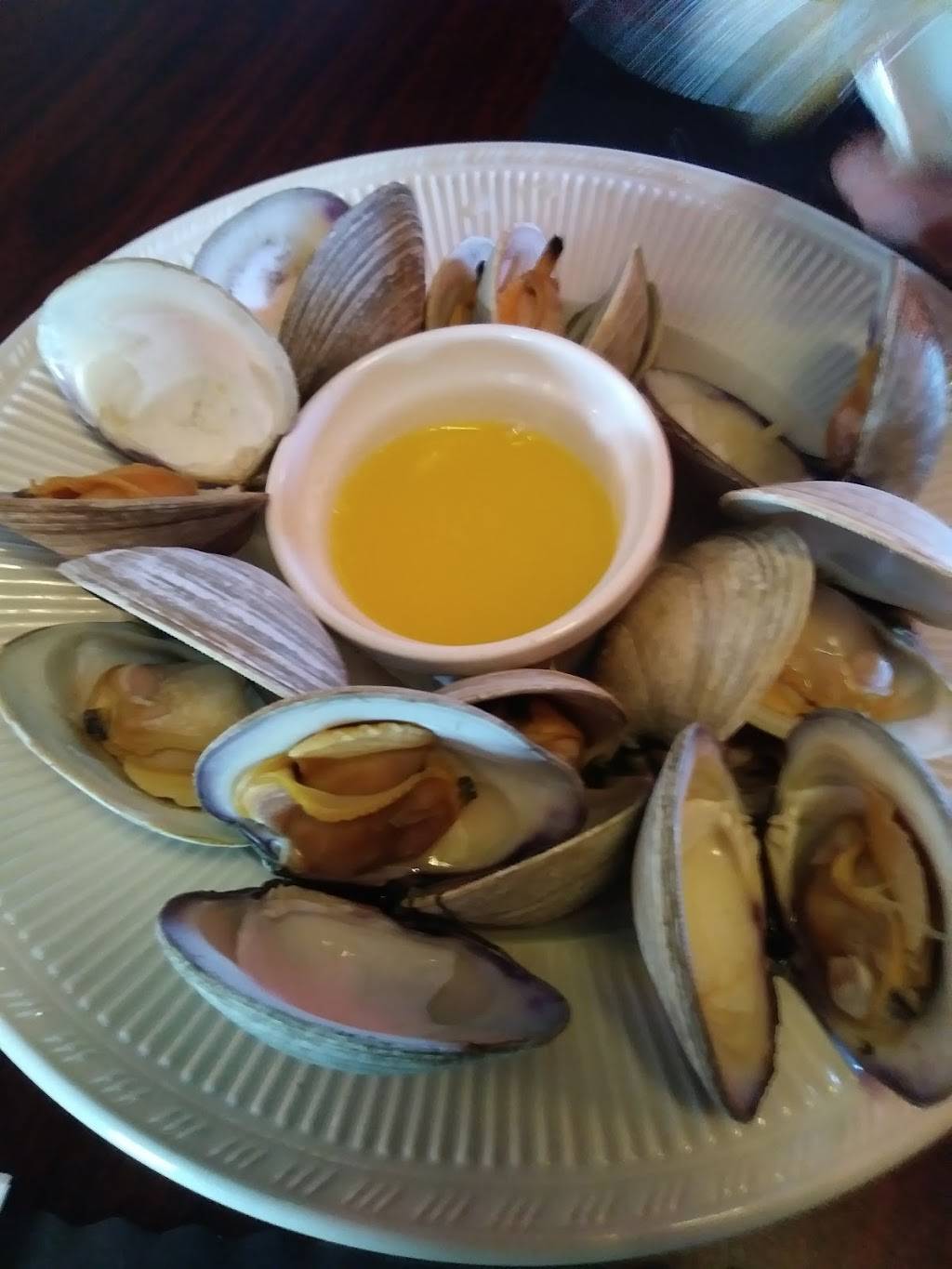 Stockton Hotel | restaurant | 2 Stockton-Kimball Stand Rd, Stockton, NY 14784, USA | 7165953505 OR +1 716-595-3505