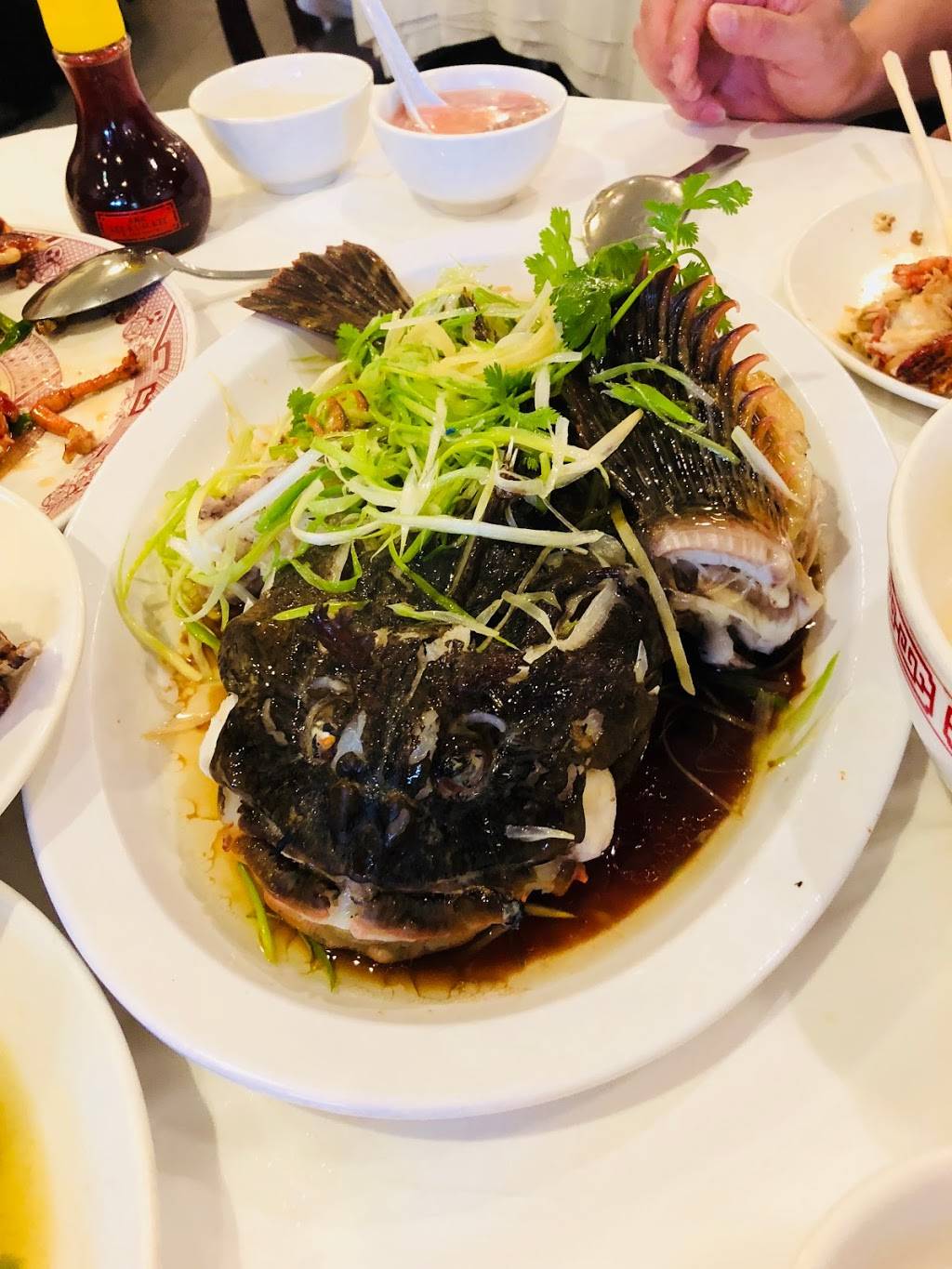 悦来 | restaurant | 8880-D Bellaire Blvd, Houston, TX 77036, USA | 7132716888 OR +1 713-271-6888