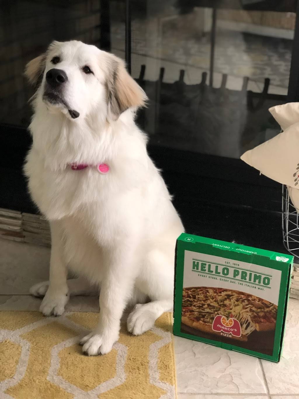 Marco’s Pizza Longwood | restaurant | 1155 W State Rd 434 Ste 101, Longwood, FL 32750, USA | 4077552000 OR +1 407-755-2000