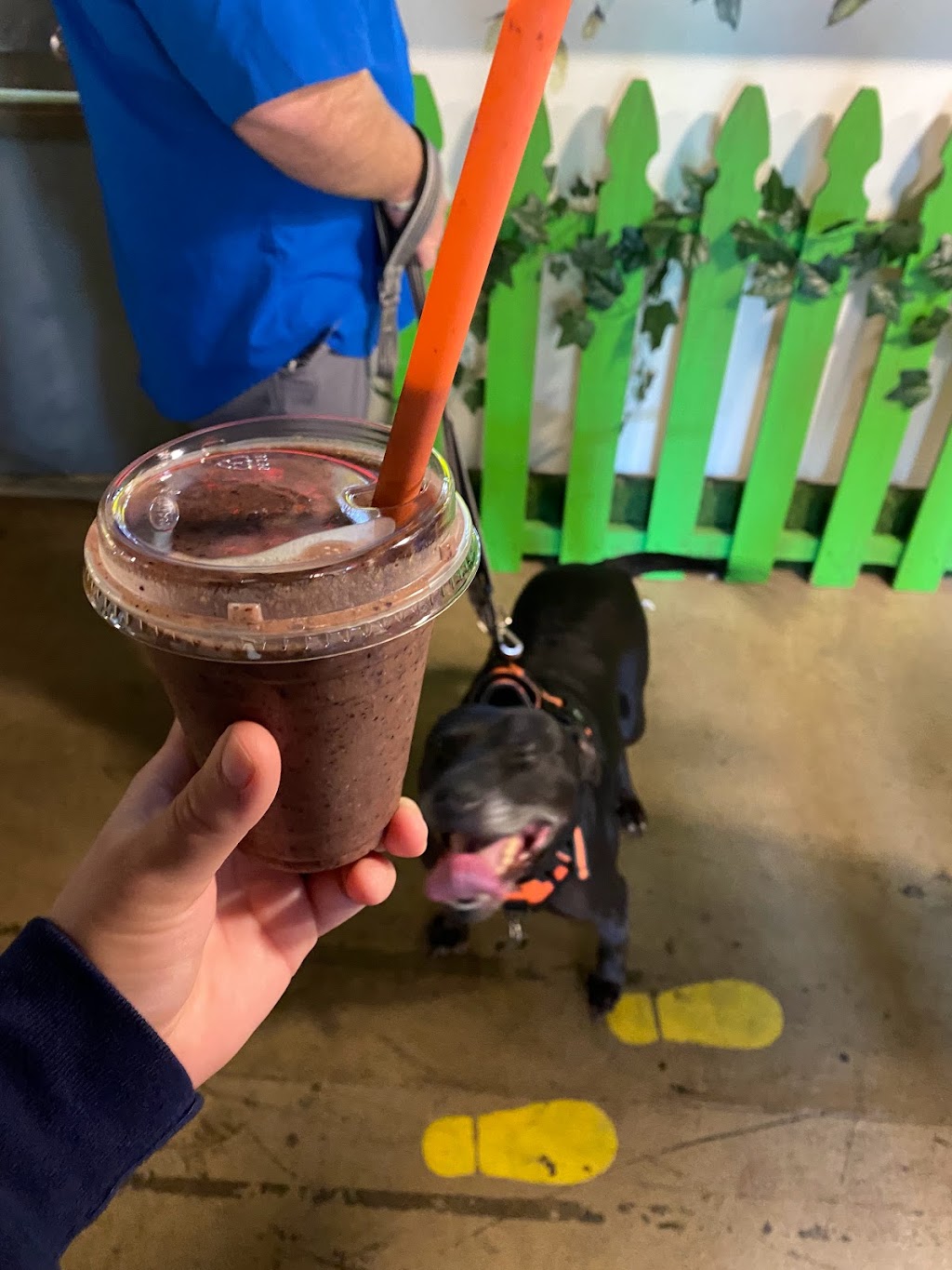 Smoothie Me Up | cafe | 334 N Donnelly St, Mt Dora, FL 32757, USA | 6462456198 OR +1 646-245-6198