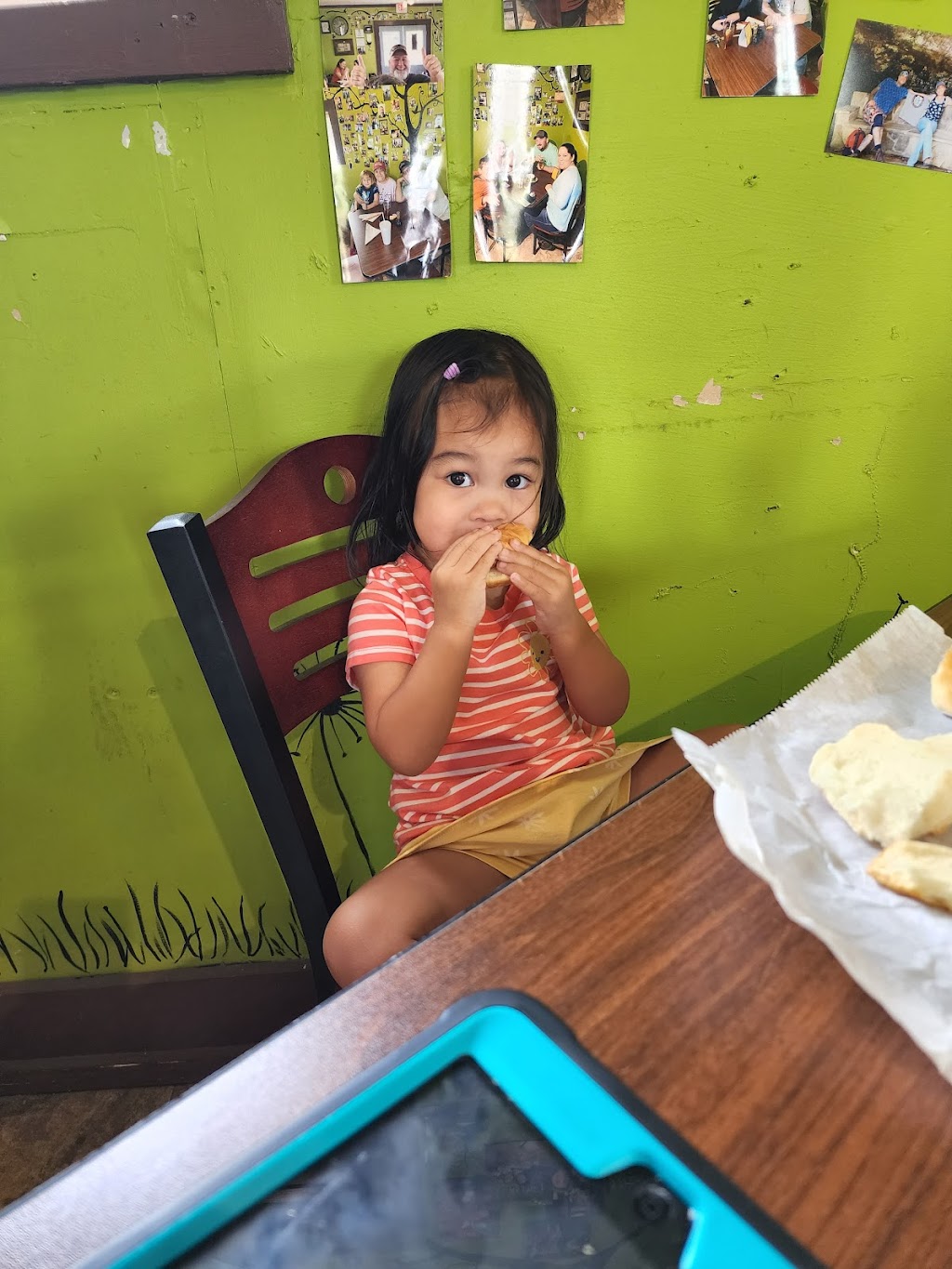 H & M Hot Dogs | restaurant | 43 9th St, Defuniak Springs, FL 32435, USA | 8508929100 OR +1 850-892-9100