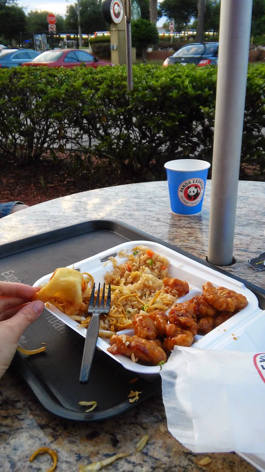 Panda Express | meal takeaway | 1251 E Brandon Blvd, Brandon, FL 33511, USA | 8136544262 OR +1 813-654-4262