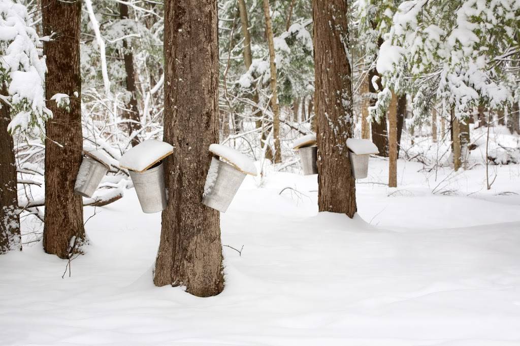 Douceurs De LErable Brien Inc (Les) | restaurant | 618 Chemin de la Grande Ligne, Sainte-Anne-de-la-Rochelle, QC J0E 2B0, Canada | 4505391475 OR +1 450-539-1475
