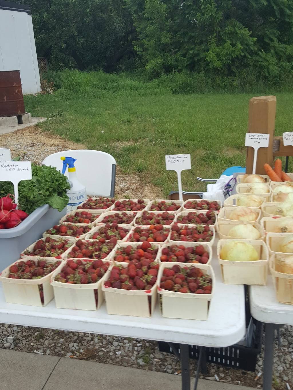 Top O-The Hill Restaurant | restaurant | 5140 Michigan Ave, Tipton, MI 49287, USA | 5174567220 OR +1 517-456-7220