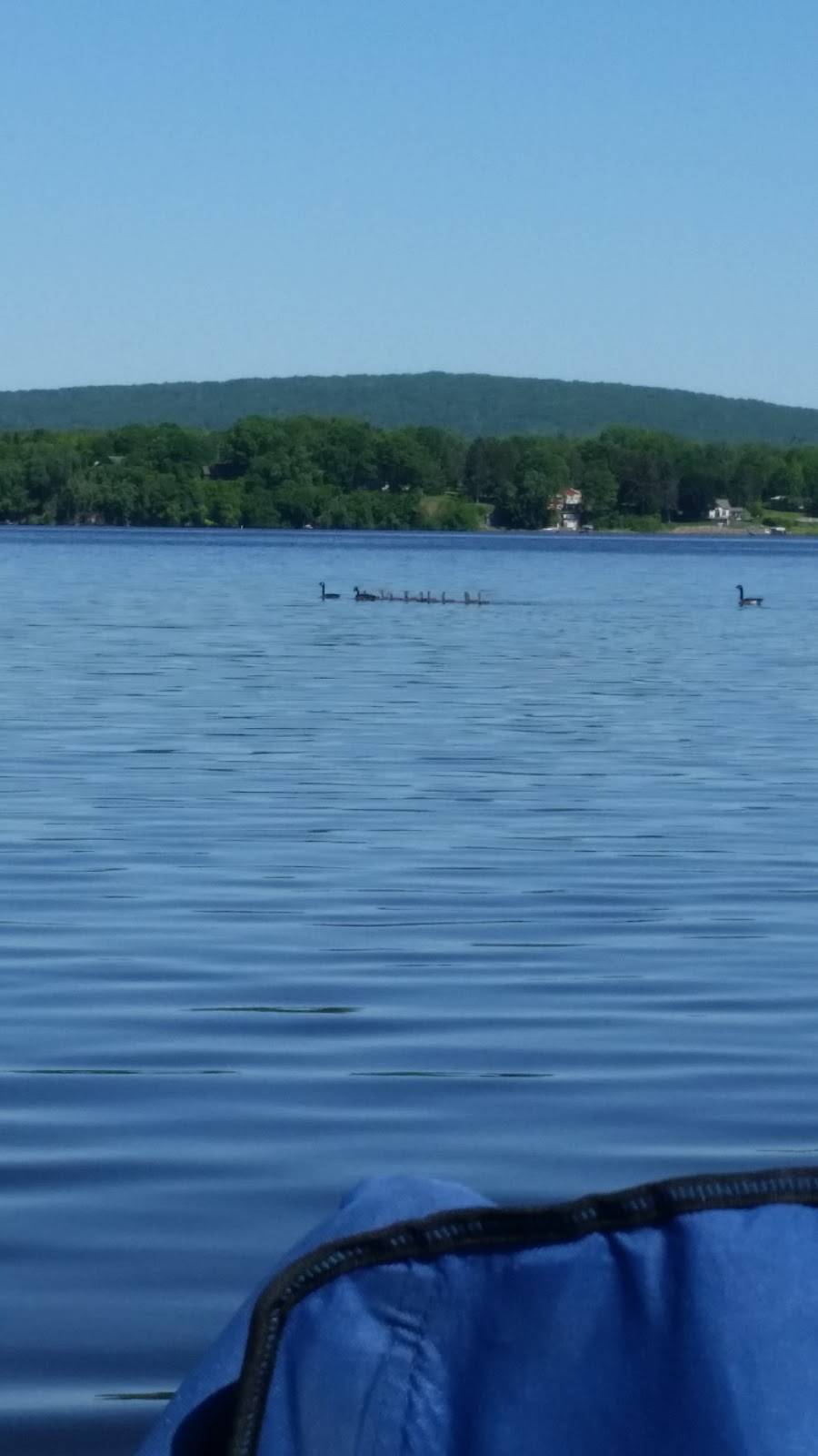 Fish Tales Restaurant | restaurant | W12690 WI-188, Lodi, WI 53555, USA | 6085924266 OR +1 608-592-4266