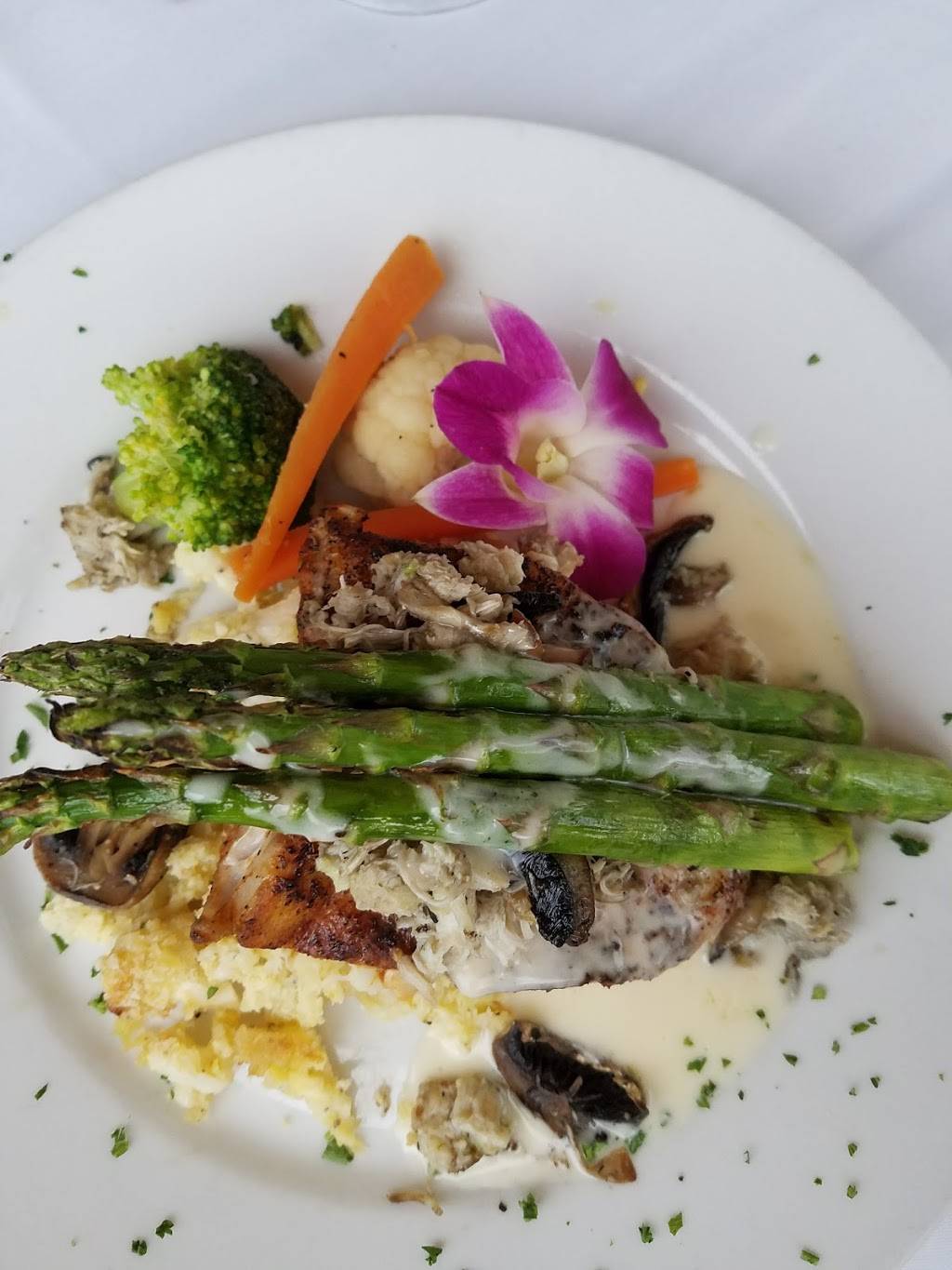 Michaels Grill | restaurant | 11720 N Dale Mabry Hwy, Tampa, FL 33618, USA | 8139648334 OR +1 813-964-8334