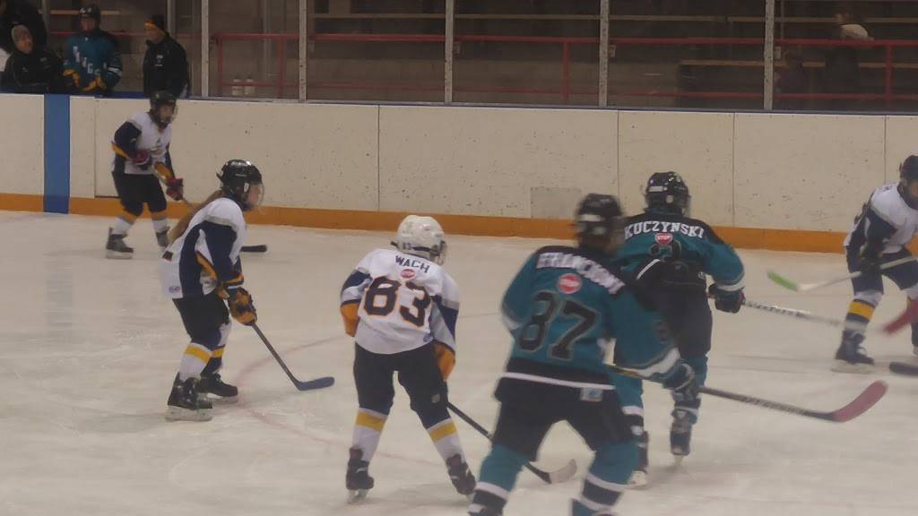 Rostraver Ice Garden | restaurant | 101 Gallitin Rd, Belle Vernon, PA 15012, USA | 7243797100 OR +1 724-379-7100