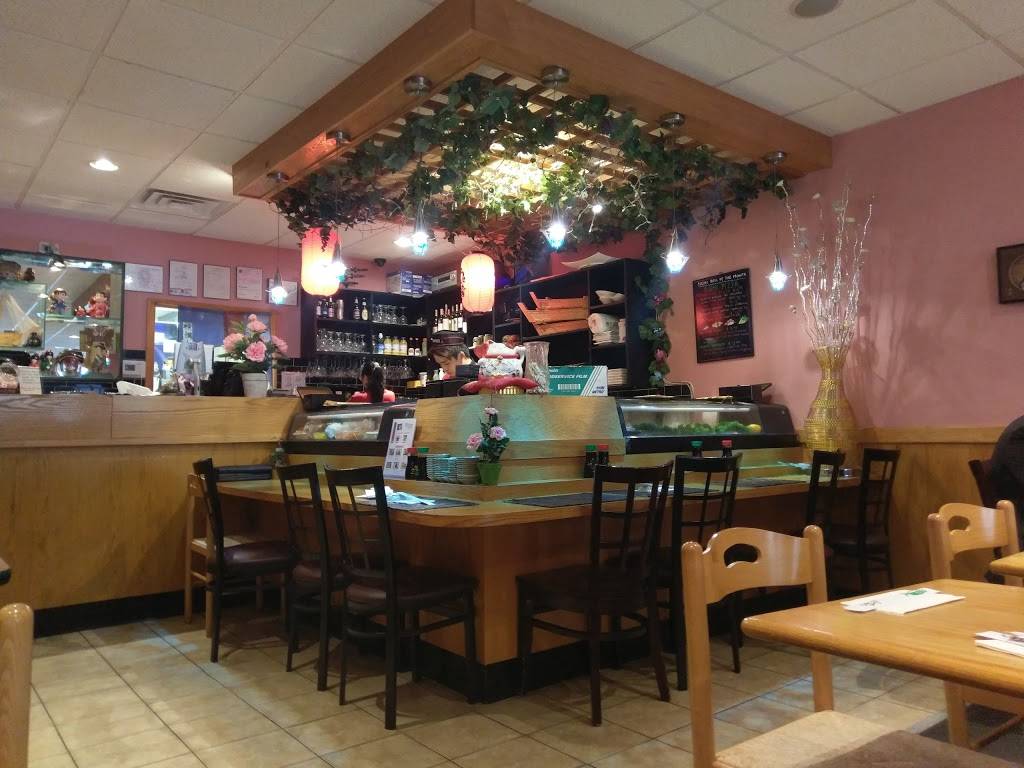 Hanami | restaurant | 8145 Baltimore Ave M, College Park, MD 20740, USA | 3019829899 OR +1 301-982-9899