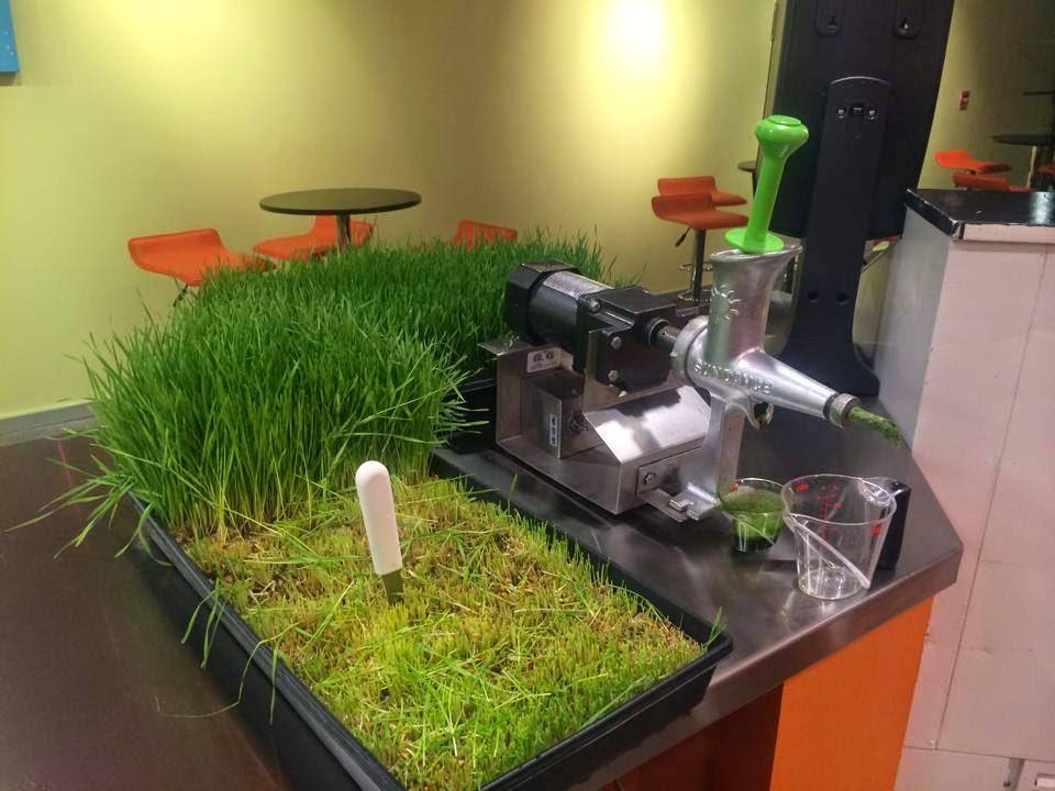 Squeezed Juice Bar-Nob Hill | restaurant | 3339 Central Ave NE D, Albuquerque, NM 87106, USA | 5057171407 OR +1 505-717-1407