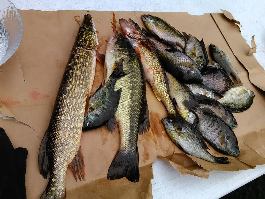 Romeys Place Bar & Grill | restaurant | 7508 S North Cape Rd, Franklin, WI 53132, USA | 4144259913 OR +1 414-425-9913