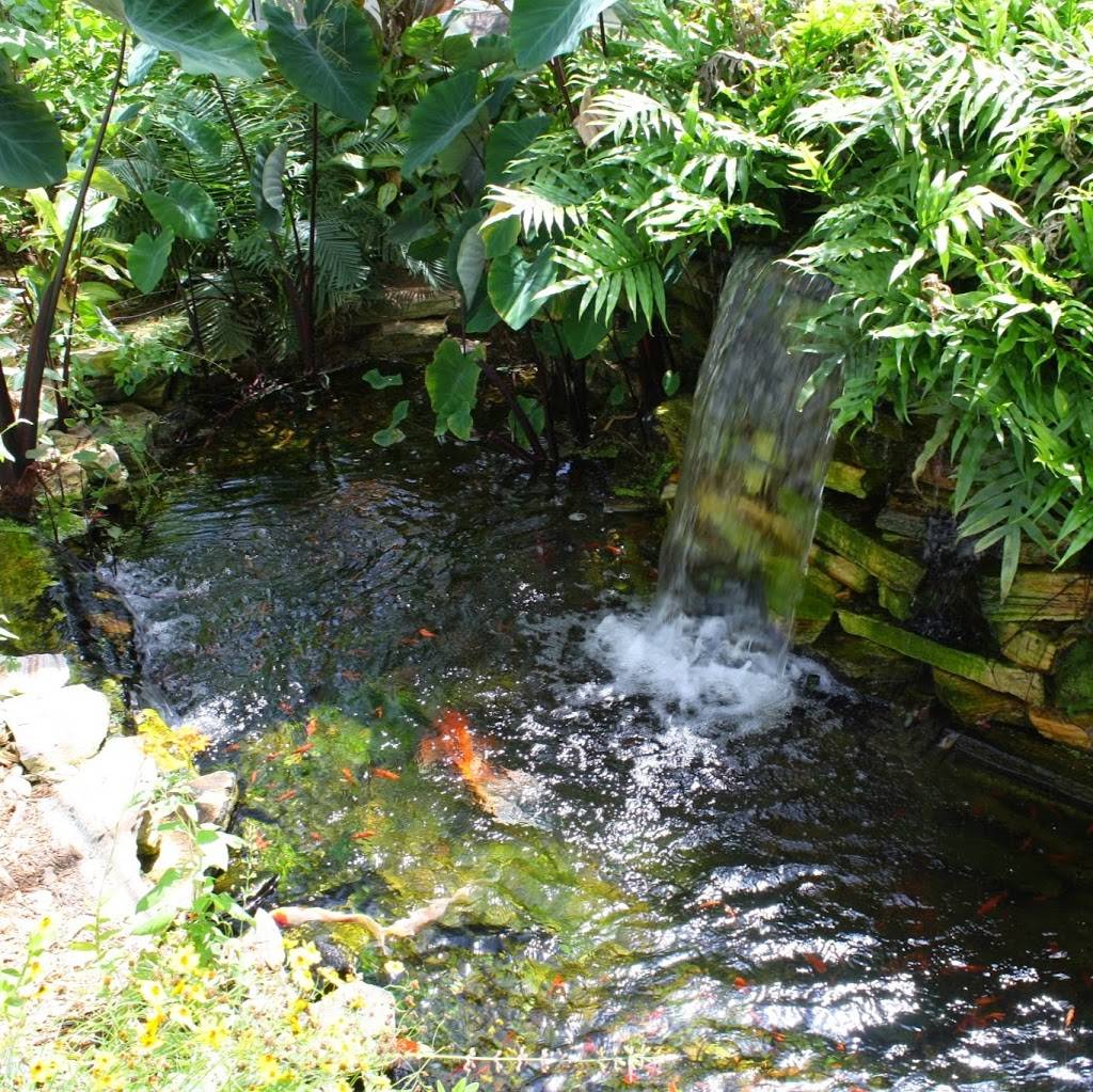 The Shops at The Butterfly Estates and Florida Native Butterfly  | restaurant | 1815 Fowler St, Fort Myers, FL 33901, USA | 2396902359 OR +1 239-690-2359