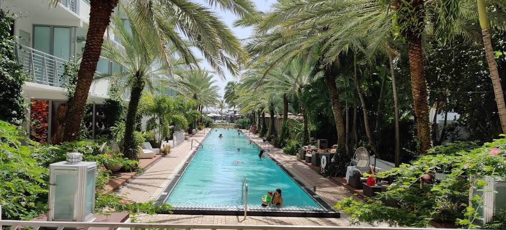 Tamara’s Bistro | restaurant | 1677 Collins Ave, Miami Beach, FL 33139, USA | 3055322311 OR +1 305-532-2311